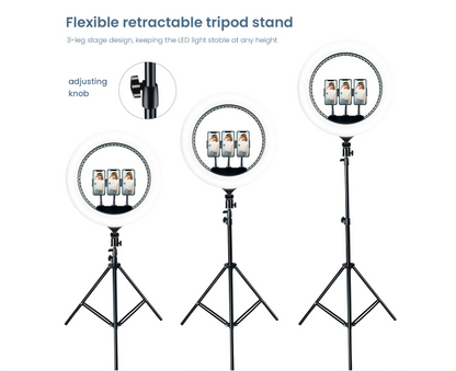 19" Ring Light with 210cm Tripod stand, 3 phone holder chips and bag