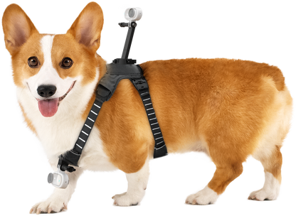 Insta360 GO 3/GO 3S Pet Harness Mount Size M