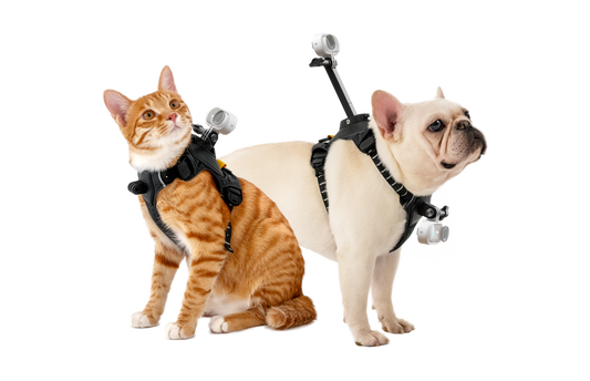 Insta360 GO 3/GO 3S Pet Harness Mount Size S